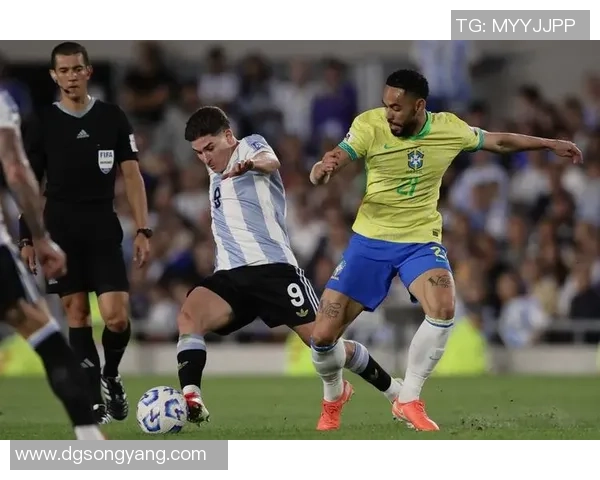 2010年世界杯预选赛阿根廷对决精彩瞬间回顾与分析